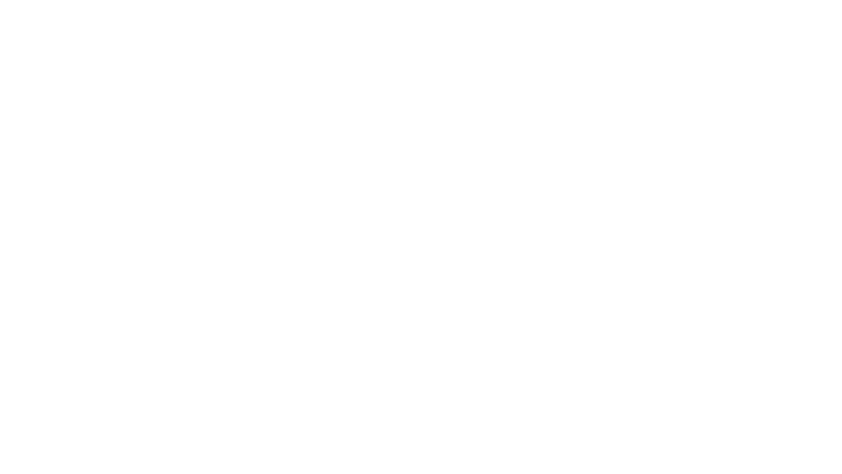 Party Effects Group
